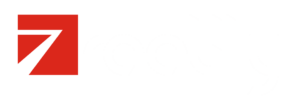 zreality basic Logo